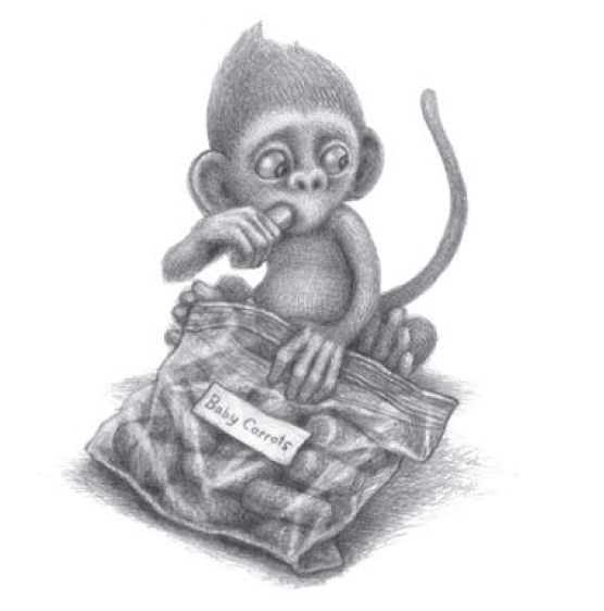 Baby Monkey Private Eye