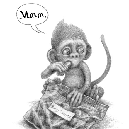 baby monkey private eye